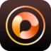 Photodirector
