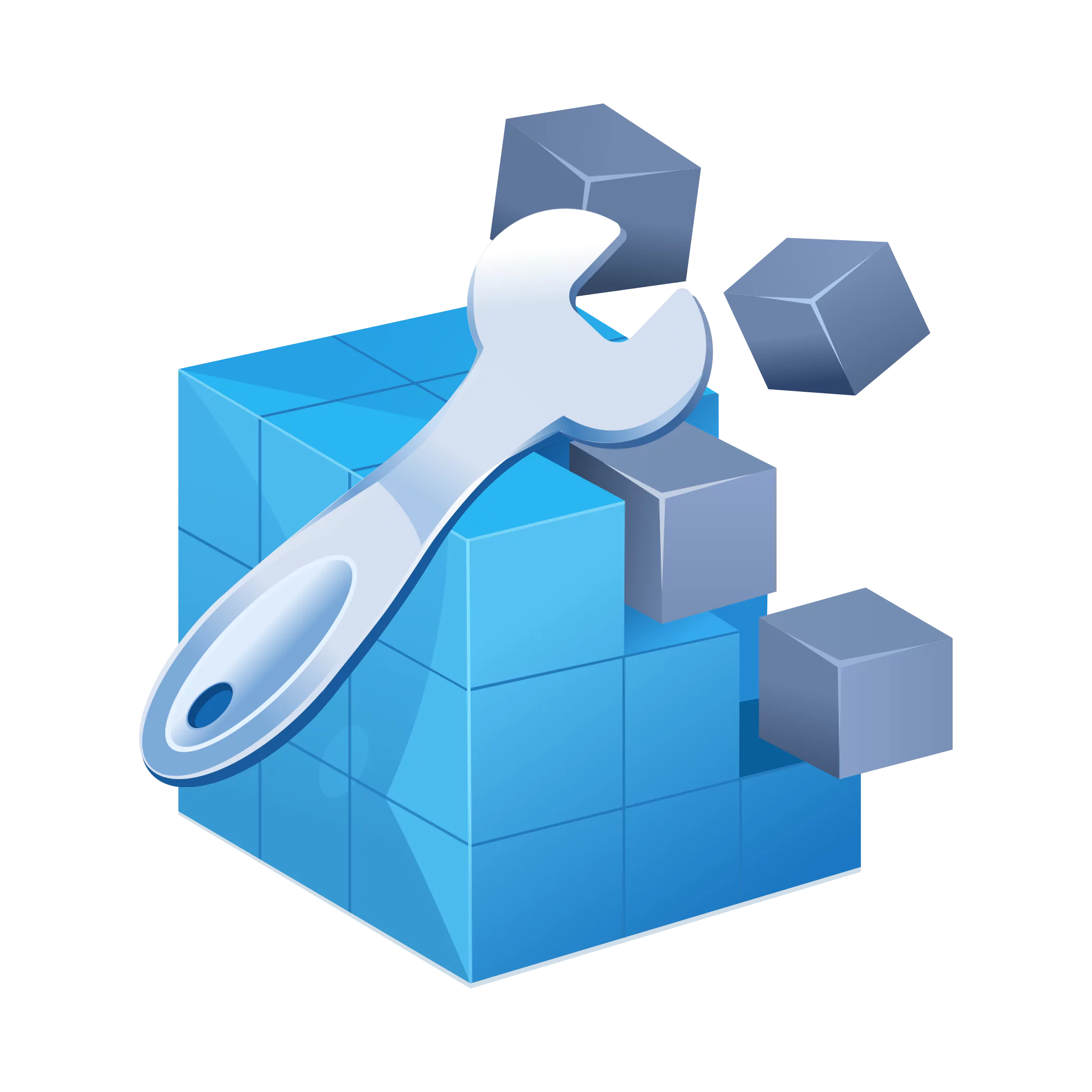Wise Registry Cleaner Logo