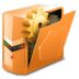 Reg Organizer Pro