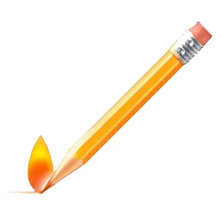 TrueBurner Pro Logo