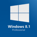 Windows 8.1 Pro Logo