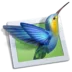 WnSoft PTE AV Studio Pro Logo