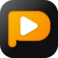 Pptube Video Downloader Pro Logo