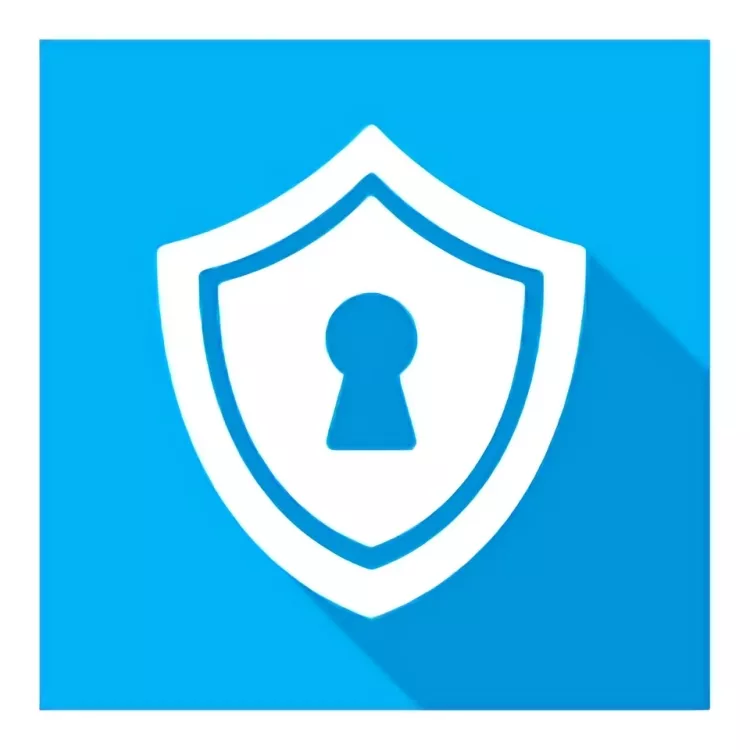 Secret Disk Professional Logo
